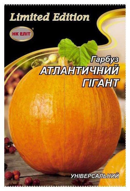 Atlantic Giant pumpkin seeds, 16 g