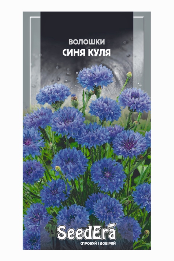 Blue Ball Cornflower Seeds, 0.5 g, Seedera