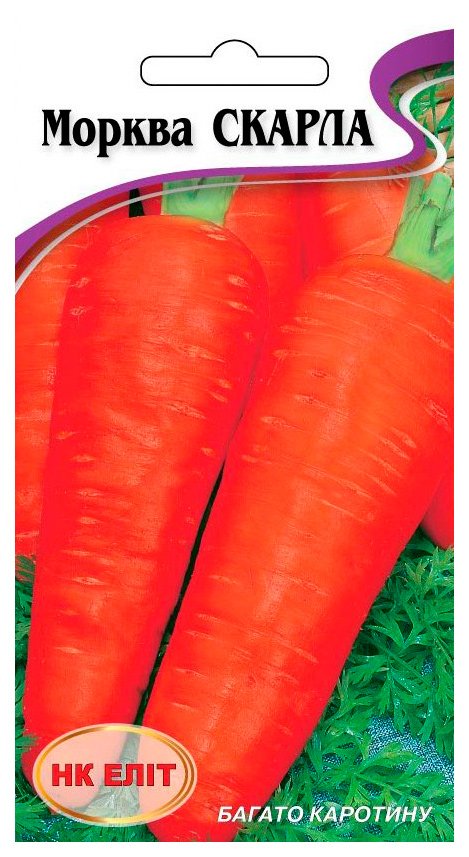 Skarla Carrot Seeds, 2 g