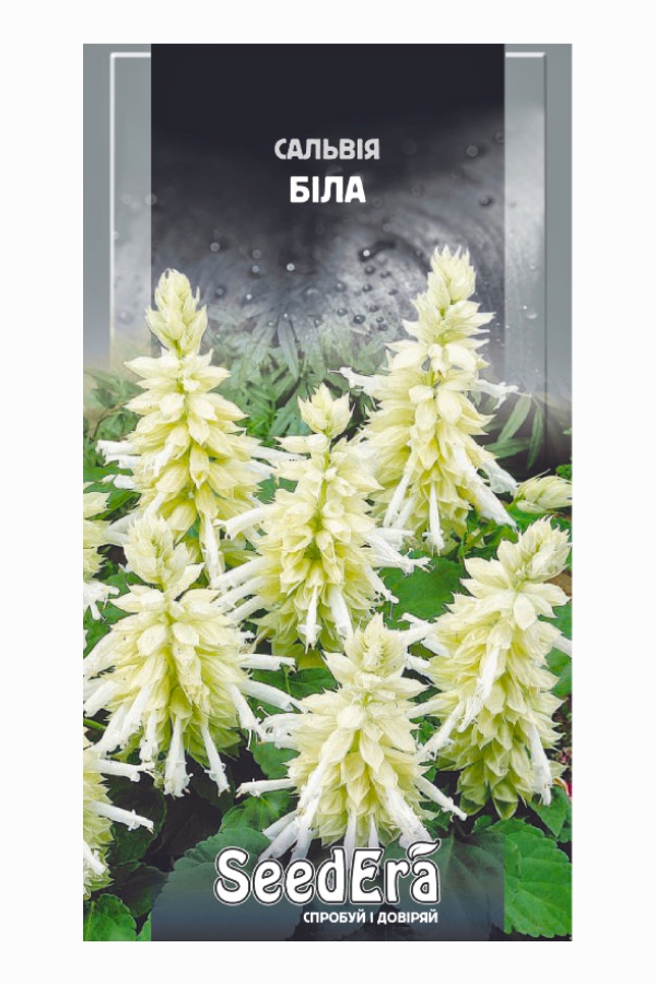 Насіння квітів Сальвія Біла, 0.1 г, Seedera | Семена цветов Сальвия Белая, 0.1 г, Seedera
