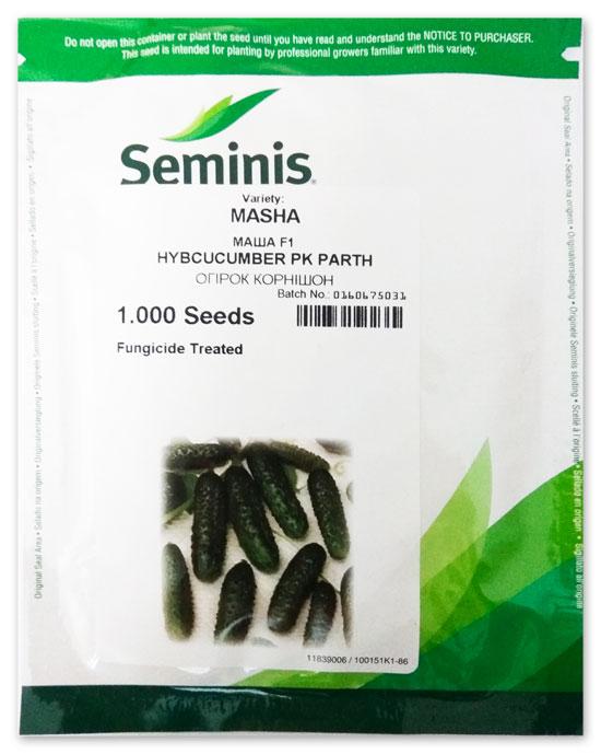 Masha F1 Cucumber Seeds, 1000 seeds Seminis (Netherlands)