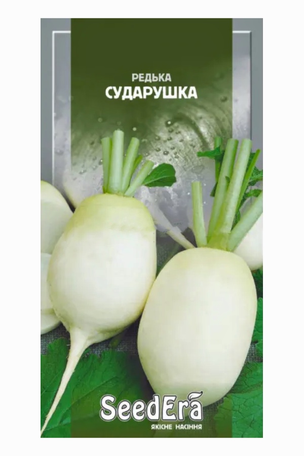 Sudarushka Radish Seeds, 2 g, Seedera
