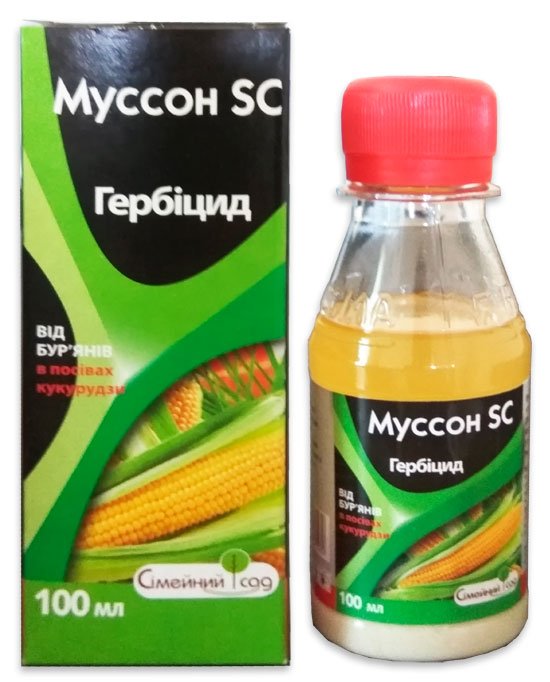 Monsoon 100 ml