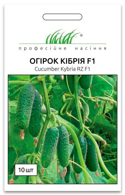 Kibria F1 Cucumber Seeds, 10 seeds, Rijk Zvaan (Netherlands)