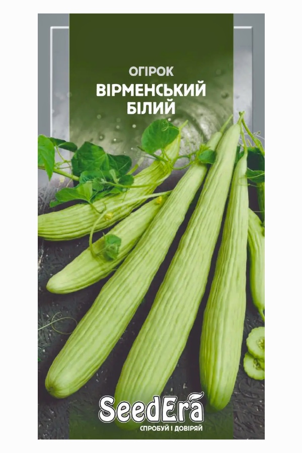 Armenian White F1 Cucumber Seeds, 10 pcs, Seedera