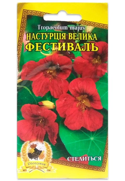 Nasturtium Festival Flower Seeds, 10 pcs