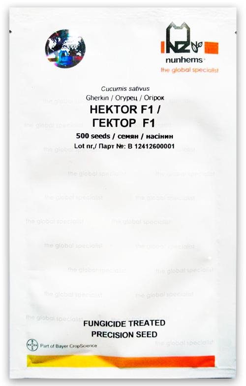 Семена Огурца Гектор F1 ,500 семян Nunhems  Zaden (Голландия)
