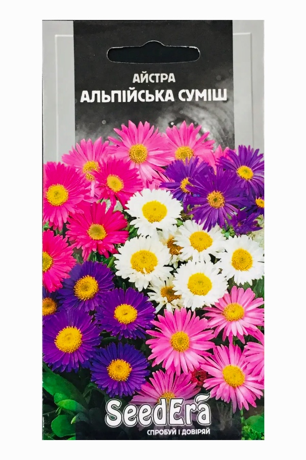 Aster Alpine Mix Flower Seeds, 0.1 g, Seedera