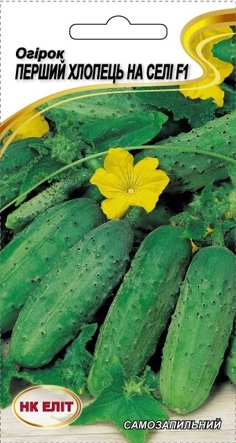 First Boy in the Village F1 Cucumber Seeds, 10 pcs