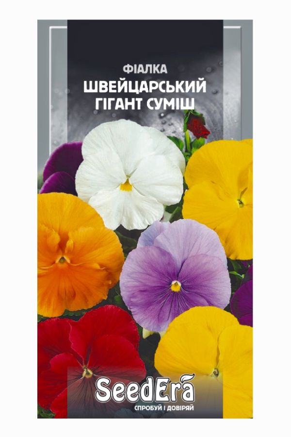 Насіння квітів Фіалка Швейцарський Гігант Суміш, 0.1 г, Seedera | Семена цветов Фиалка Швейцарский Гигант Смесь, 0.1 г, Seedera