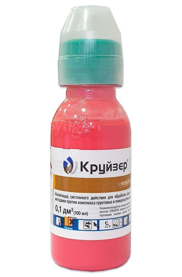 Cruiser 100 ml