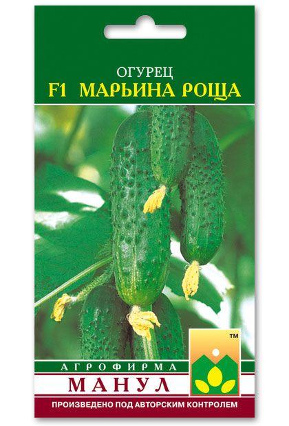 Marina Roscha F1 Cucumber Seeds, 10 seeds