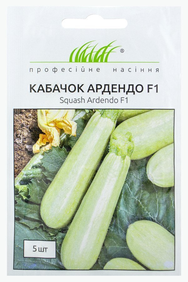 Arendo F1 zucchini seeds, 5 seeds Enza Zaden (Netherlands)