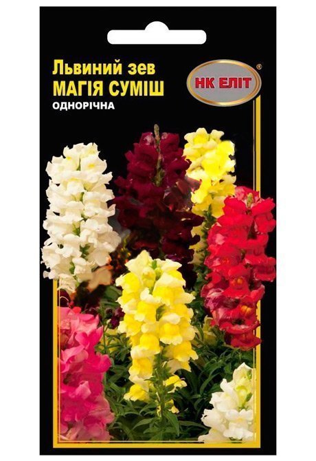 Lion's Mouth Flower Seeds, Magic Mix, 0.2 g