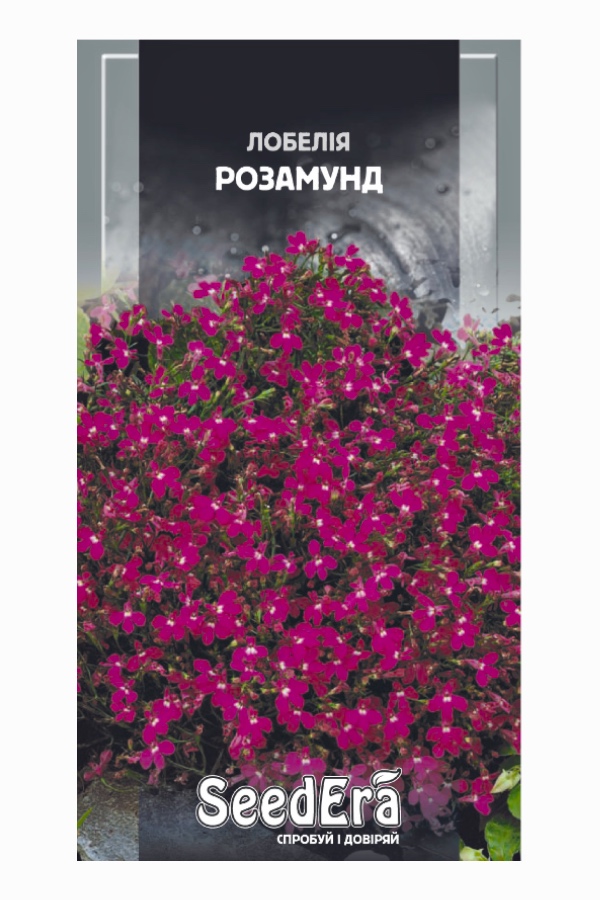 Насіння квітів Лобелія Розамунд, 0.1 г, Seedera | Семена цветов Лобелия Розамунд, 0,1 г, Seedera