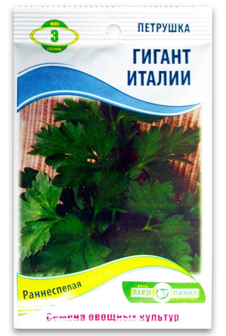 Italian Giant Parsley Seeds, 3 g.