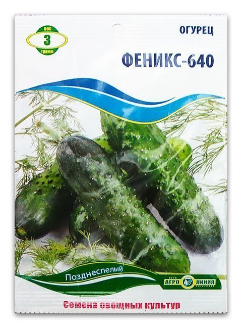 Phoenix 640 Cucumber Seeds, 3 g