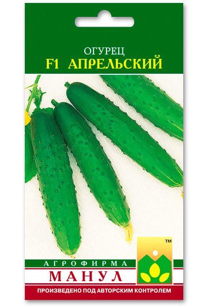 April F1 Cucumber Seeds, 12 seeds