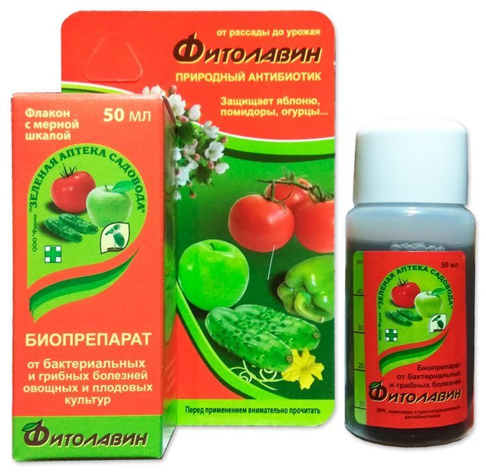 Phytolavin 50 ml