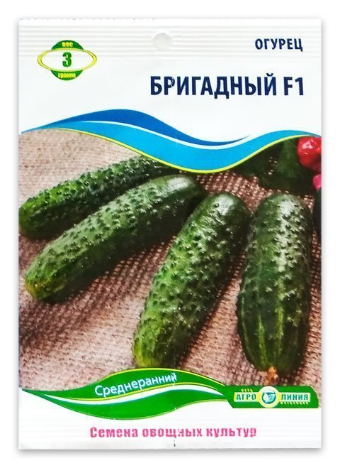 Brigadny F1 Cucumber Seeds, 3 g
