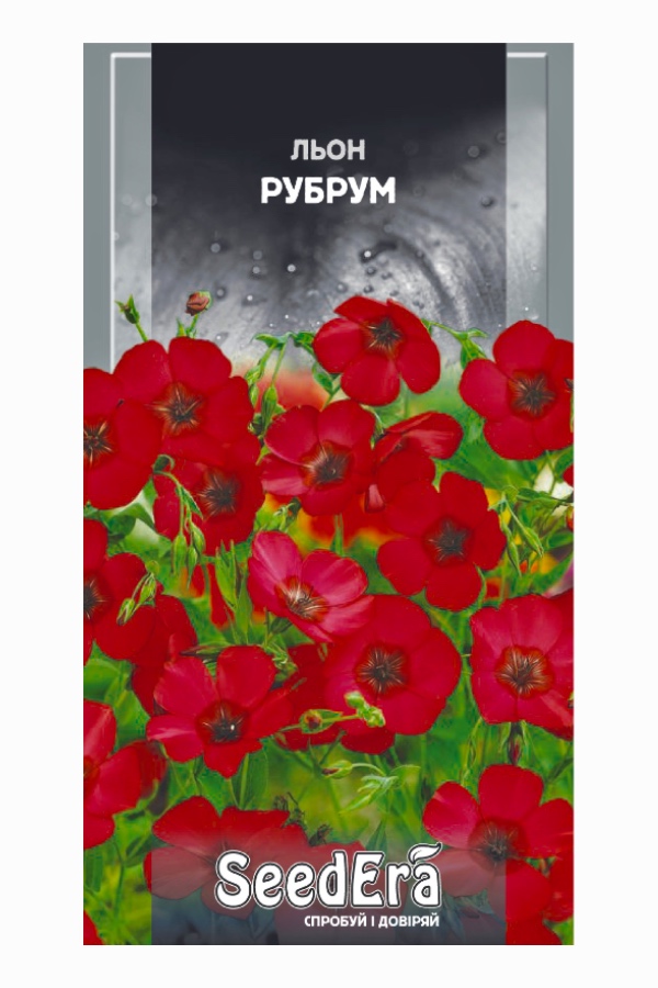 Насіння квітів Льон Рубрум, 0.5 г, Seedera | Семена цветов Лен Рубрум, 0,5 г, Seedera