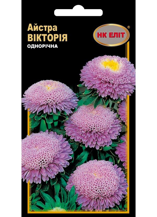 Насіння квітів Айстра Вікторія, 0.3 г | Семена цветов Астра Виктория, 0.3 г