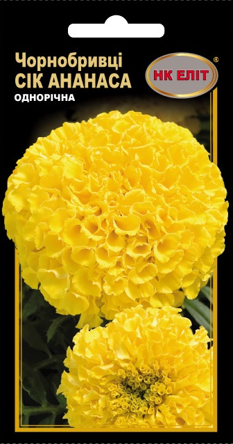 ������ ���� ����������� ѳ� �������, 0.3 � | ������ ������ �������� ��� �������, 0.3 �