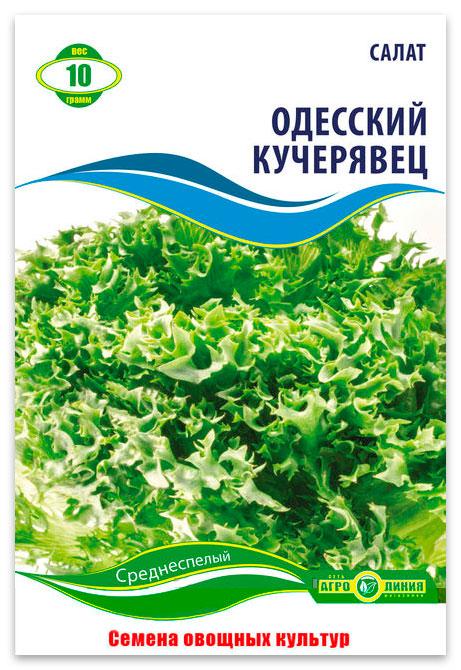 Odessa Kucheryavets Lettuce Seeds, 10 g.