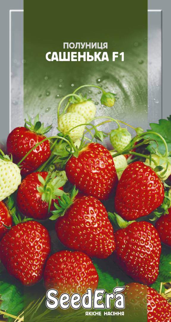 Sashenka F1 Strawberry Seeds, 0.01 g, Seedera