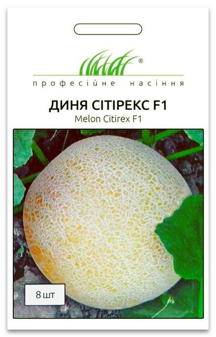 Citrex F1 Melon Seeds, 8 seeds Tezier (France)