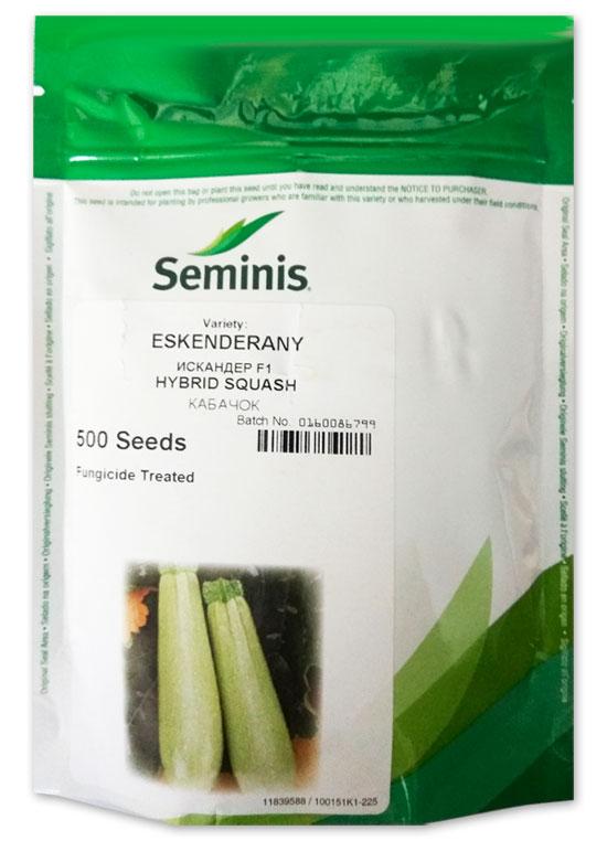 Iskander F1 Zucchini Seeds, 500 seeds Seminis (Netherlands)