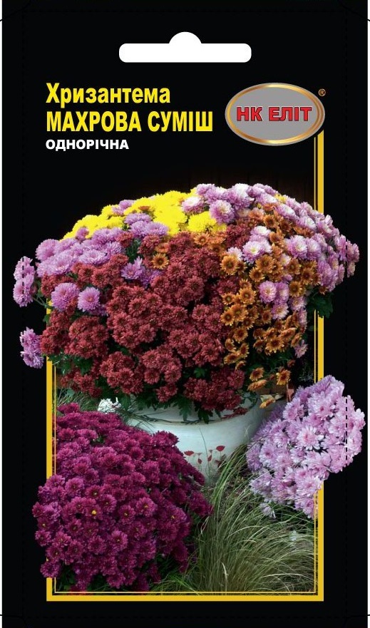 Chrysanthemum Terry Mix Flower Seeds, 0.2 g