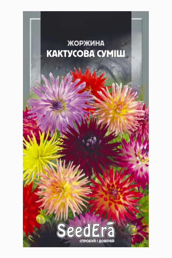 Насіння квітів Жоржина Кактусова Суміш, 0.3 г, Seedera | Семена цветов Георгина Кактусовая Смесь, 0.3 г, Seedera