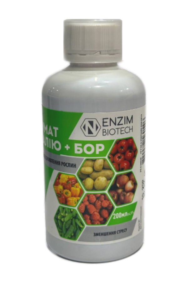 ����� ����� + ��� 200 ��