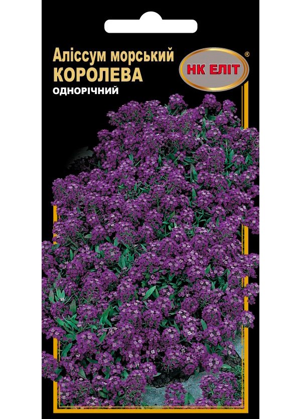 Семена цветов Алиссум морской Королева, 0.2 г