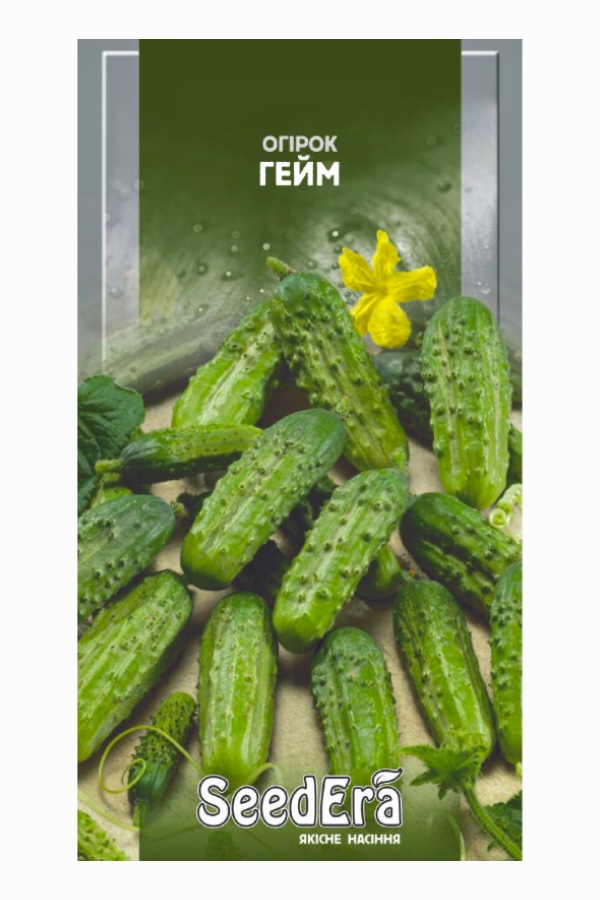 ������ ����� ����, 1 �, Seedera | ������ ������ ����, 1 �, Seedera