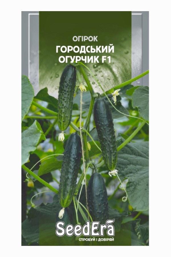 Семена огурца Городской Огурчик F1, 10 шт, Seedera