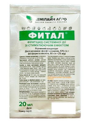 Fital 20 ml