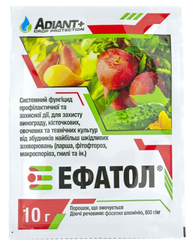 Efatol 10 g