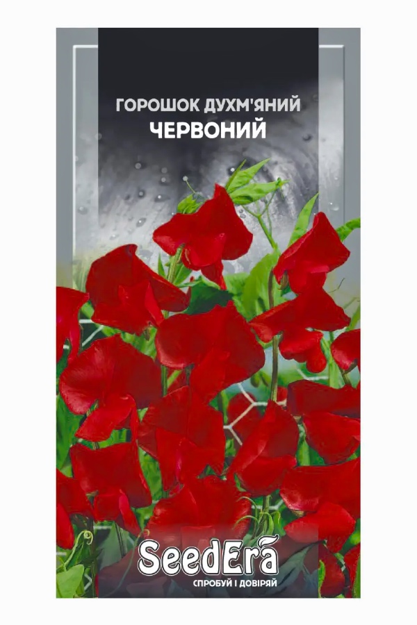 Fragrant Red Polka Dot Flower Seeds, 1 g, Seedera