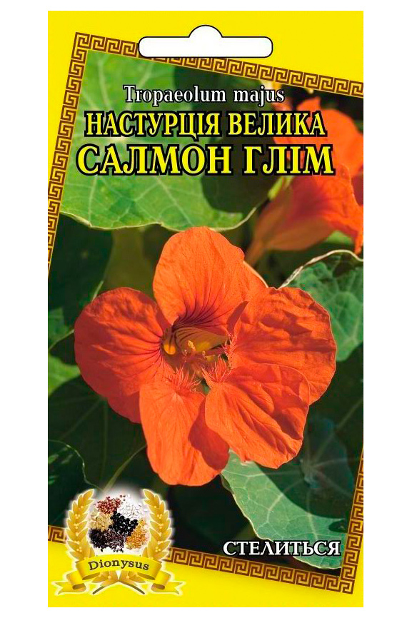 Семена цветов Настурция Салмон Глим махровая оранжевая, 10 шт