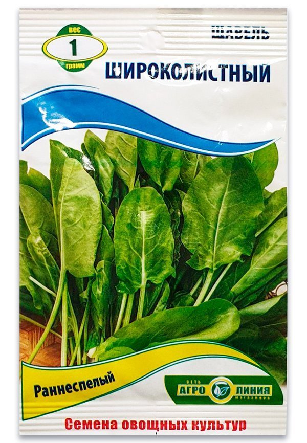 Семена щавеля Широколистный, 1 г.
