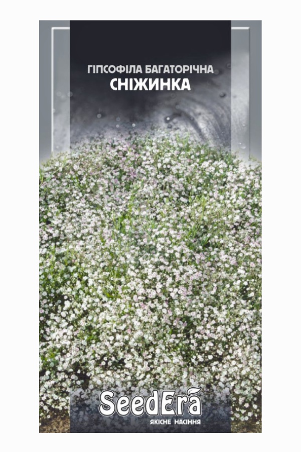 Perennial Snowflake Gypsophila Flower Seeds, 0.2 g, Seedera