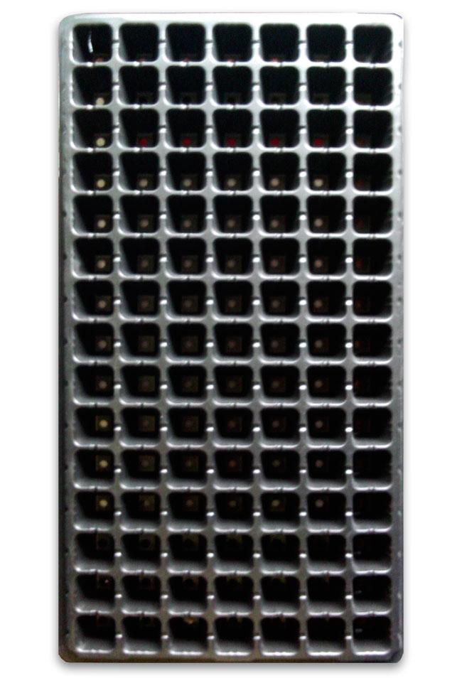 105-cell seedling tray