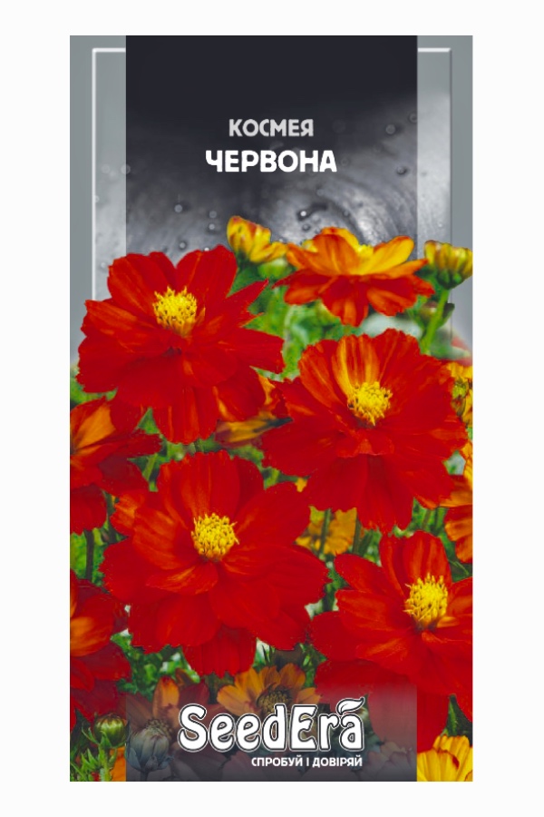 Насіння квітів Космея Червона, 0.5 г, Seedera | Семена цветов Космея Красная, 0.5 г, Seedera