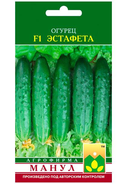 Estafeta F1 Cucumber Seeds, 12 seeds
