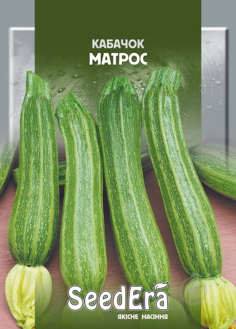 Насіння кабачка Матрос, 10 г, Seedera | Семена кабачка Матрос, 10 г, Seedera