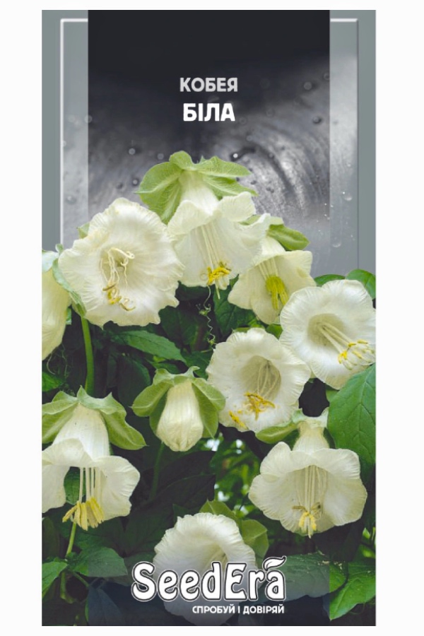 Насіння квітів Кобея Біла, 0.25 г, Seedera | Семена цветов Кобея Белая, 0.25 г, Seedera
