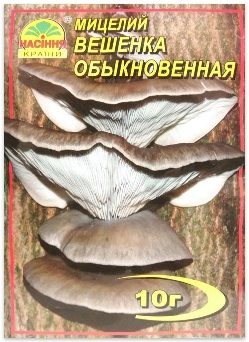 Common Oyster Mushroom Mycelium, 10 g