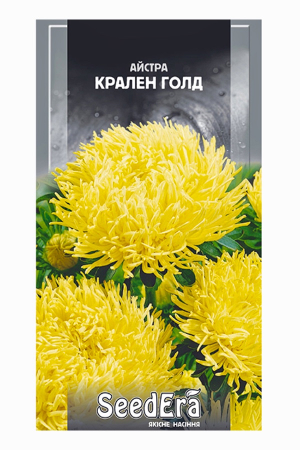 Aster Kralen Gold Flower Seeds, 0.25 g, Seedera